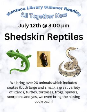 Shedskin Reptiles